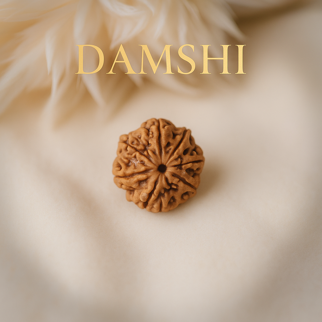 7 Mukhi Rudraksha