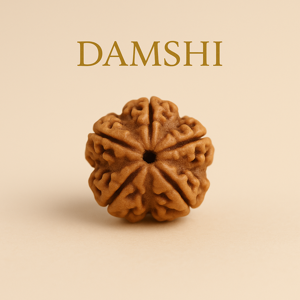 5 Mukhi Rudraksha