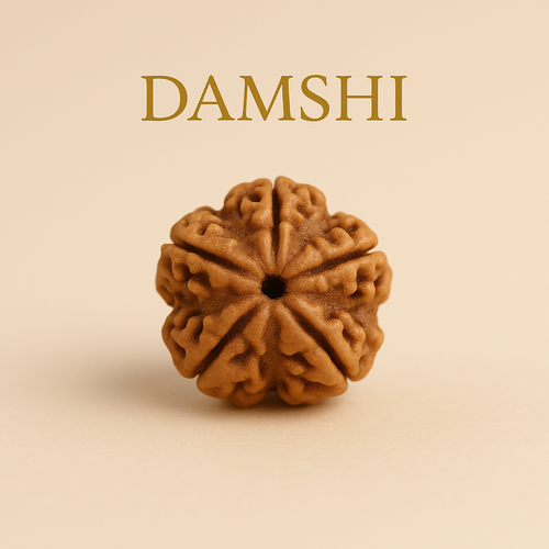 5 Mukhi Rudraksha