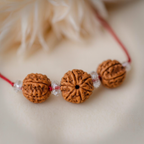 Arth Siddhi Rudraksha
