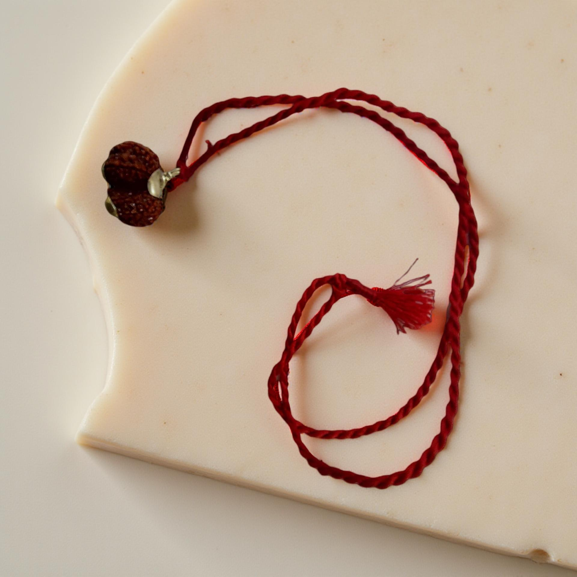 Gaurishankar Rudraksha