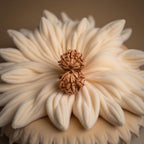 Gaurishankar Rudraksha