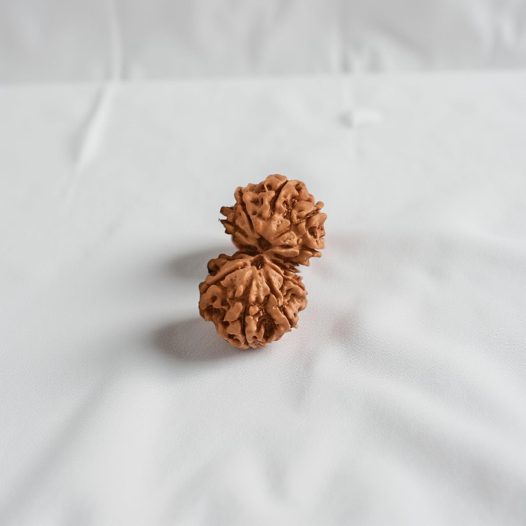 Gaurishankar Rudraksha