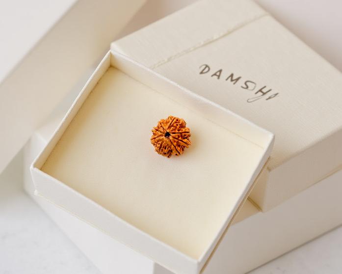 8 Mukhi Rudraksha